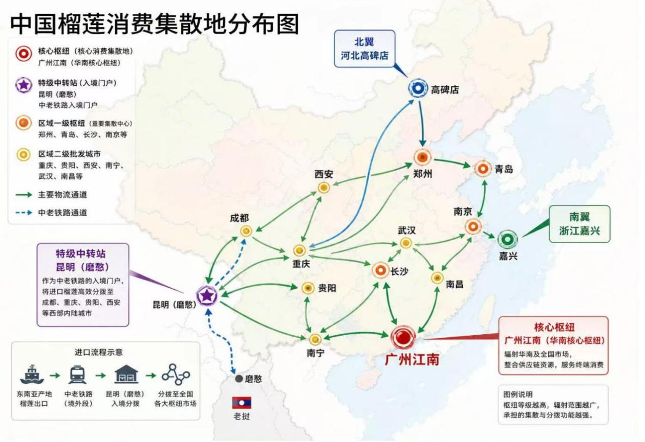 一颗榴莲的“跨国之旅”：藏在“榴莲自由”背后的中国壹定发官网实力
